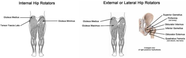 Hip Rotation Types The Knee-Hip Connection: Muscles and movement