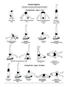 Immune Boosting Sequences from BKS Iyengar